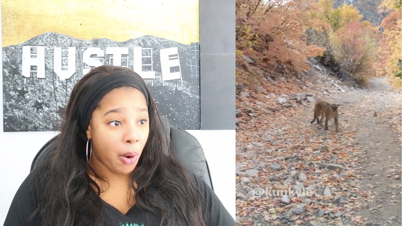 Mountain Lion Stalks Man For 6 Minutes Straight | Reaction