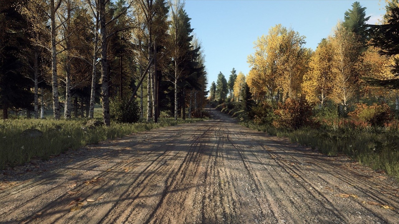 🐸Доставка горячих пончиков марштрут через лес - Dirt rally 2.0