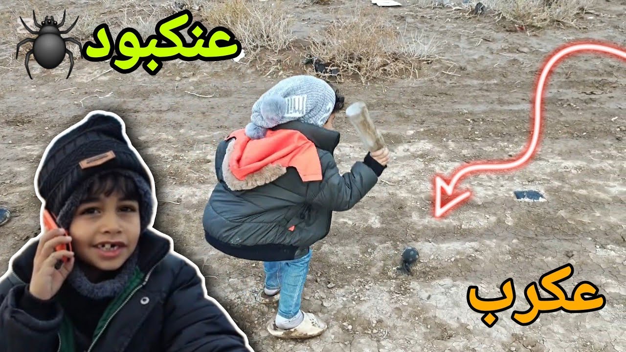 لكينة عنكبود جنة عقرب 🕷😱 الكوري ضربة بالدبة 😨😄