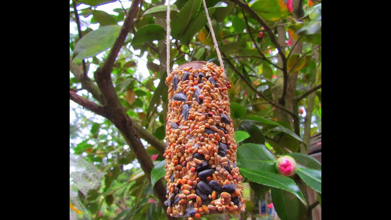Reusing Toilet tubes for DIY Bird Feeder