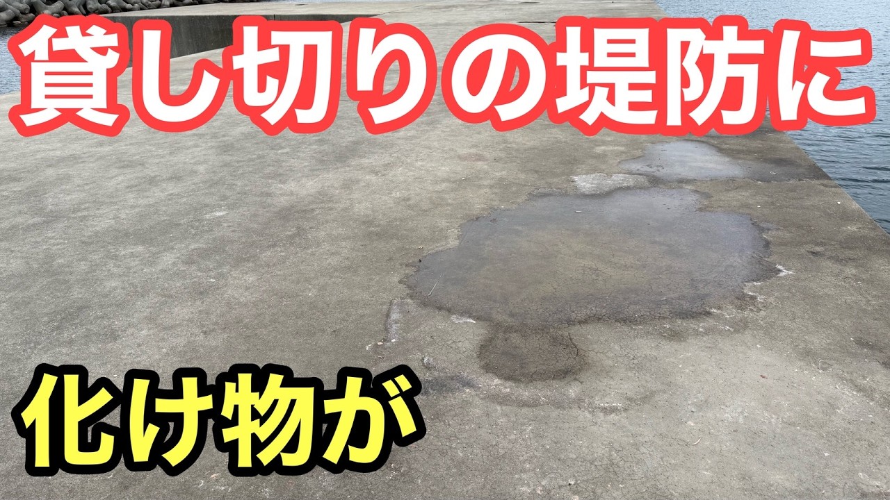 【貸し切りの堤防に】化け物が潜んでいました！まさかの展開で衝撃を覚えました【飲ませ釣り/エギング】