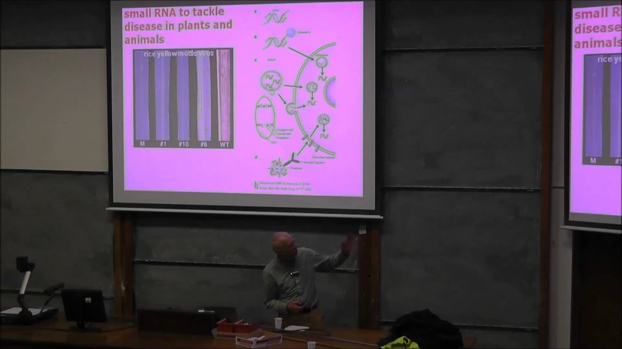 Small RNA, The Dark Matter of Genetics - by Professor Sir David Baulcombe