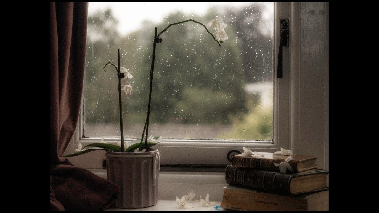 Rain on a Tin Roof for Sleeping 24/7, Deep Sleep with Heavy Rain & Thunder on Metal Roof at Night