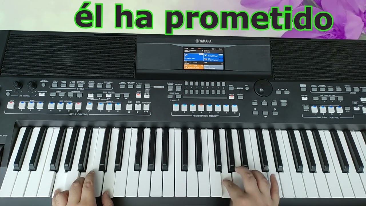 TUTORIAL PELEARE LUCHARE HASTA EL FINAL // MINISTERIO MAJESTAD DE JEHOVA (YAMAHA SX600)