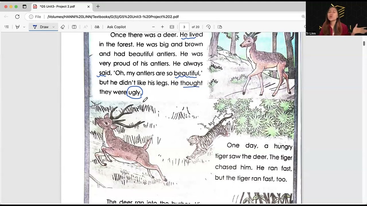 Grade(5) English Unit(3) Lesson(1) Final Part