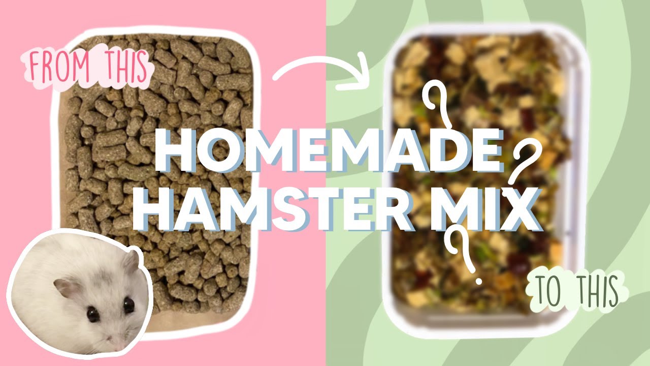 How to Make Your Own Hamster Seed Mix