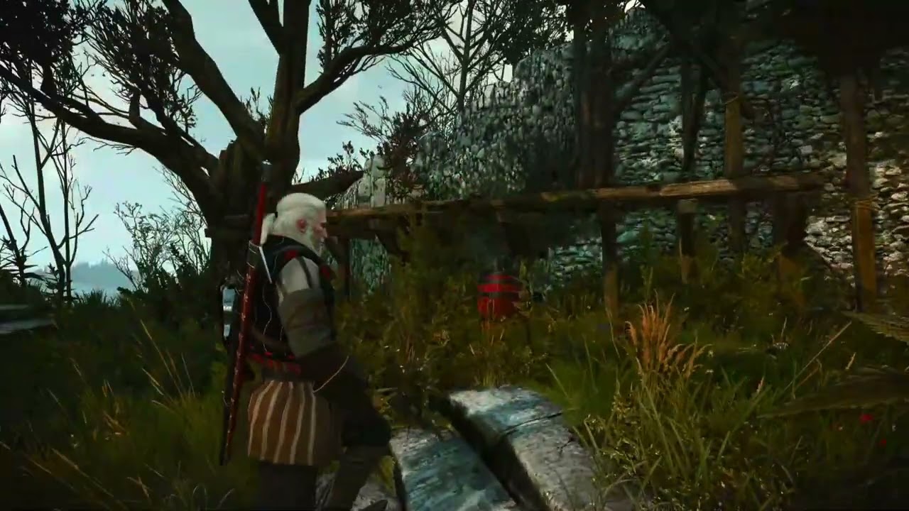 The witcher 3 gameplay 🔥