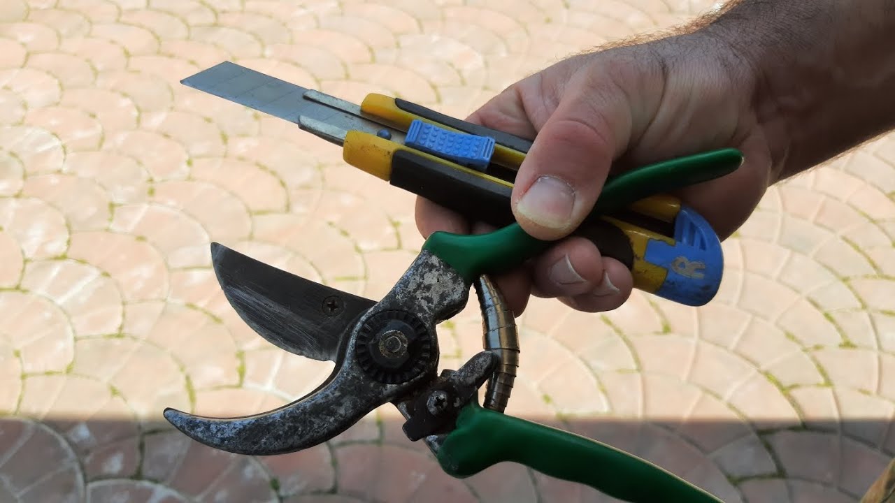 Come arrotare un coltello