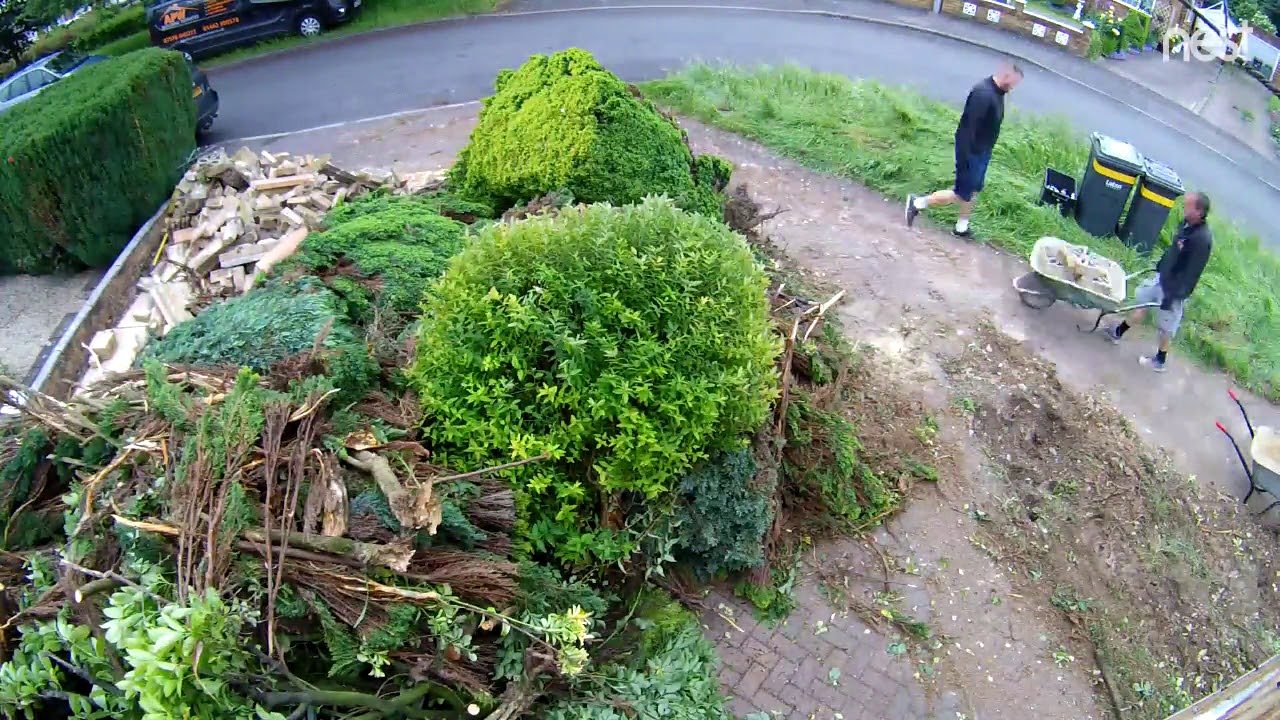 Day 1 Site Clearance Driveway