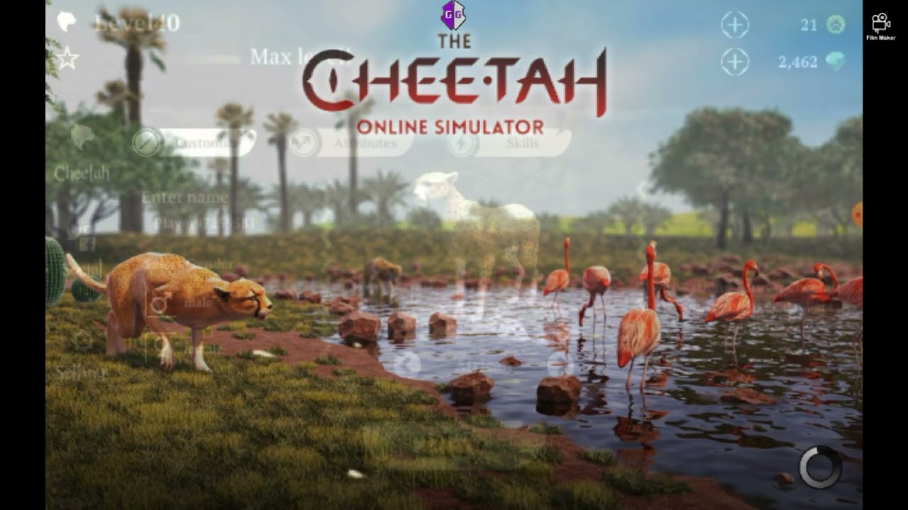 The Cheetah - Level Up, Attributes,And Skills Hack Codes 2024 + Free Account !