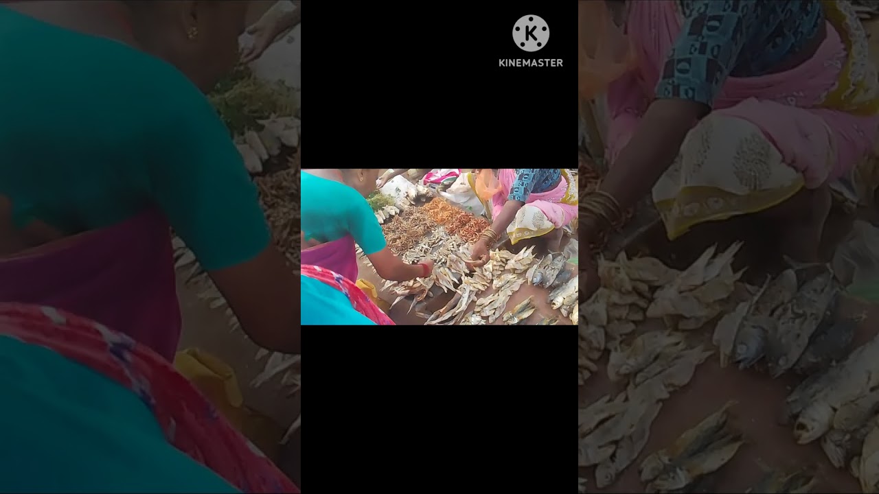 santha - market #homelytips #food#smallbusiness #chakki world