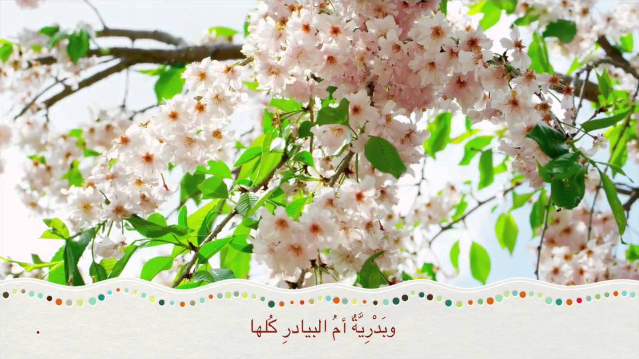 موكب الهدى | دار الأنوار النسائية بالقصيم 🌿