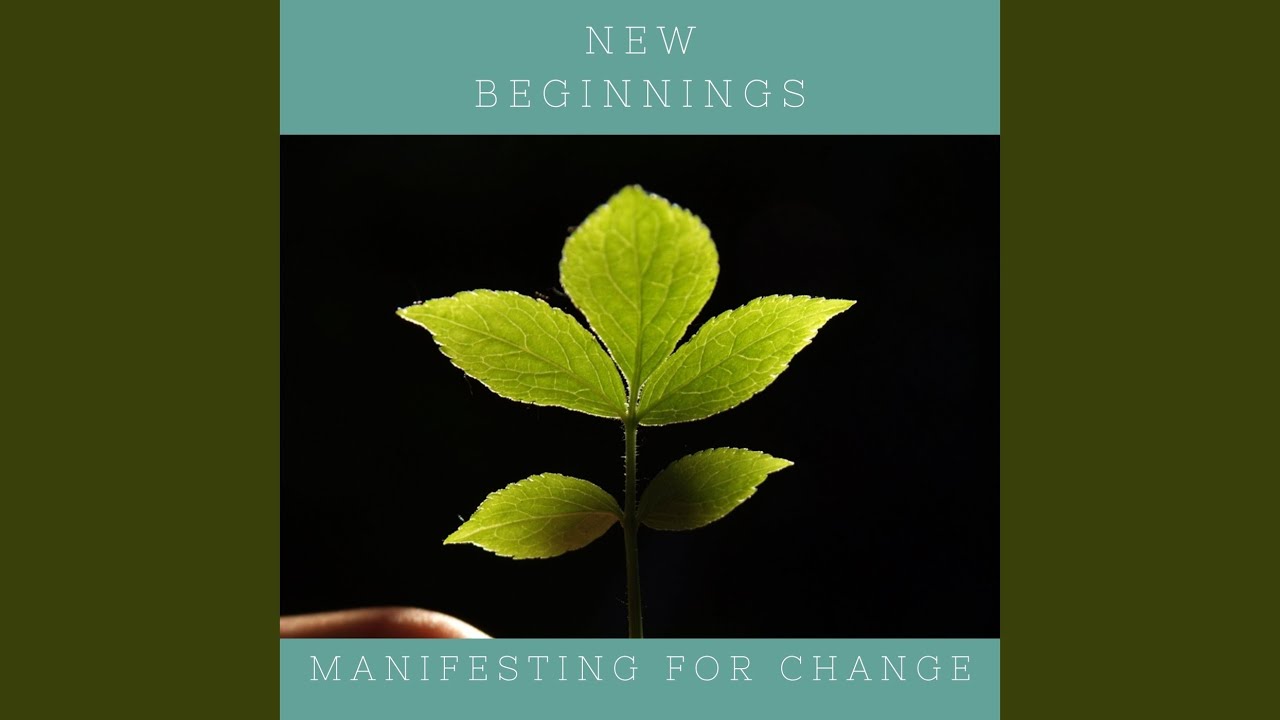 New Beginnings