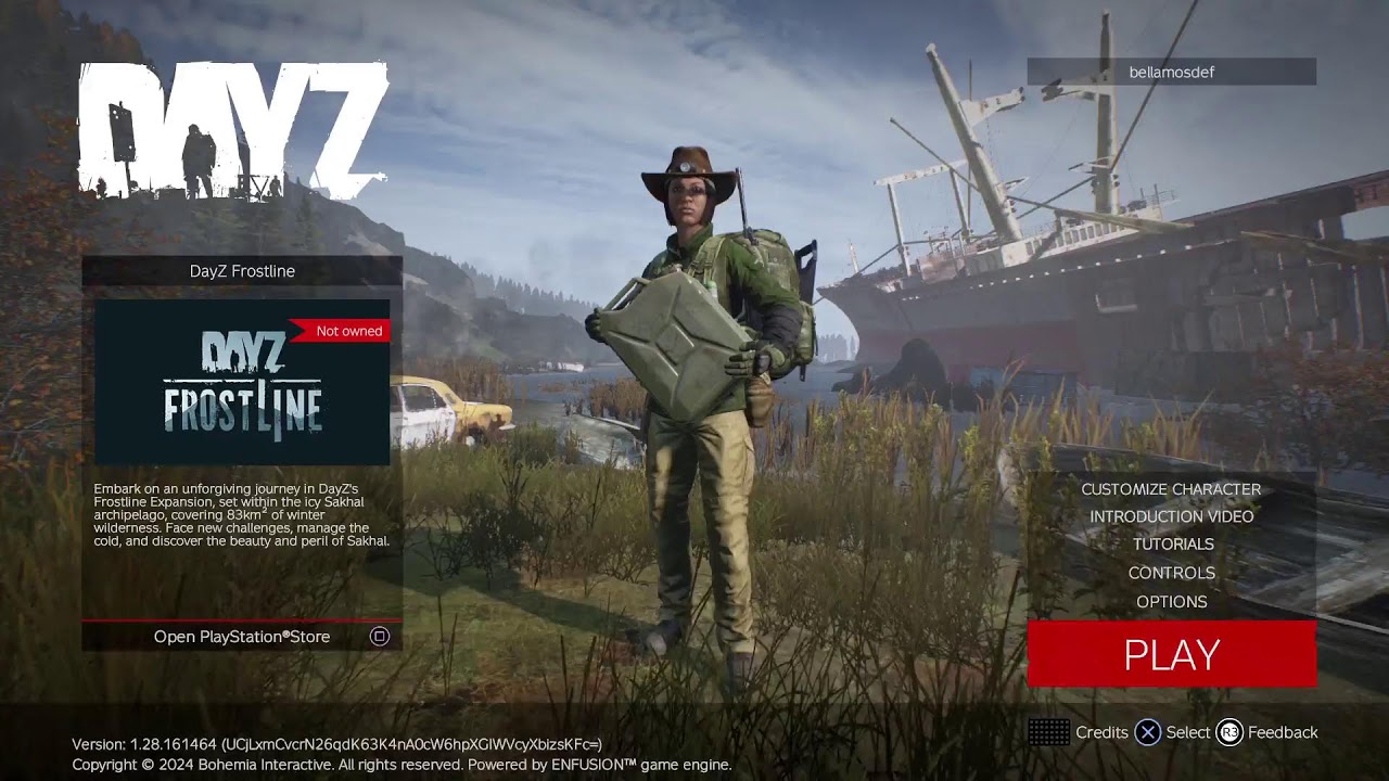 DayZ 
