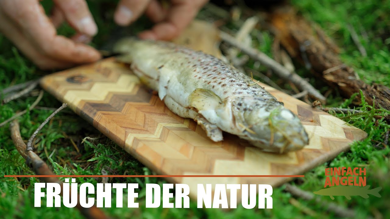 Der SINN des Angelns! - Fisch zubereiten wie vor 1000 Jahren - #outdoors