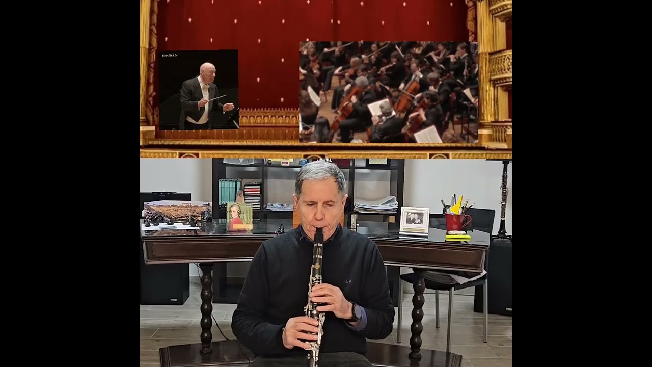 Vincenzo Bellini-Casta diva-Clarinetto Fernando D'Ambrosio e Base Orchestrale accompaniment 
