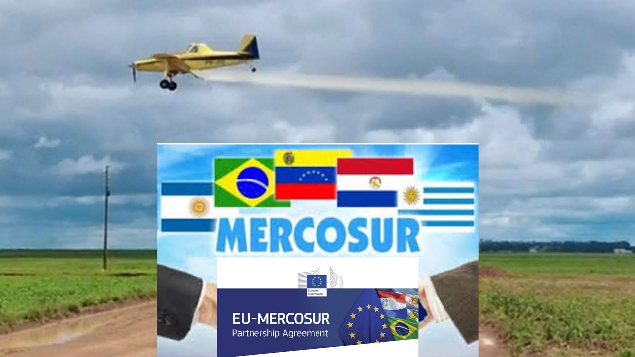 PESTYCYDY - EUROPEJSKA HIPOKRYZJA [PL]