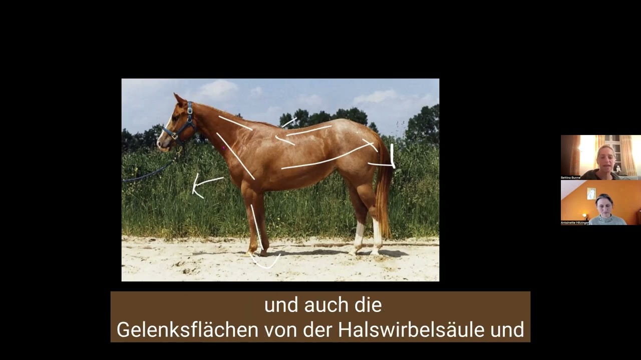 zwei gegensätzliche Beispiele zur Körperhaltung von Bettina Bunne
