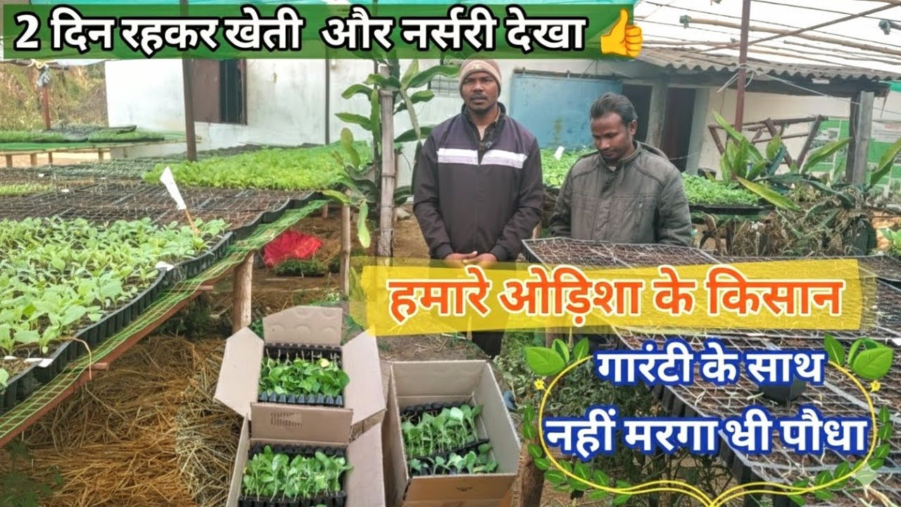 2 दिन रहकर देखा खेती और नर्सरी, ओड़िशा के किसान भाई 👍🌱