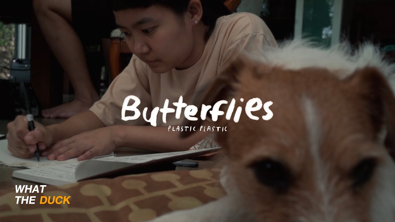 Plastic Plastic - Butterflies [Official Video]