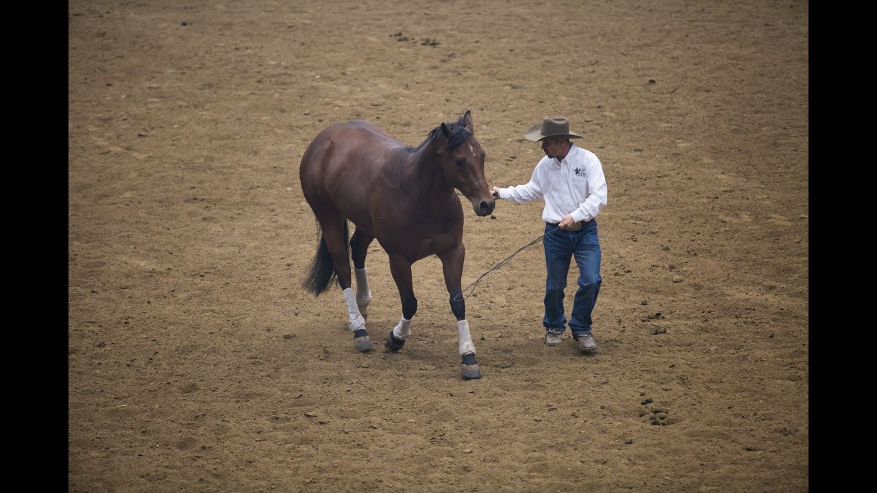 2015 Epic Night of the Horse: Jim Anderson