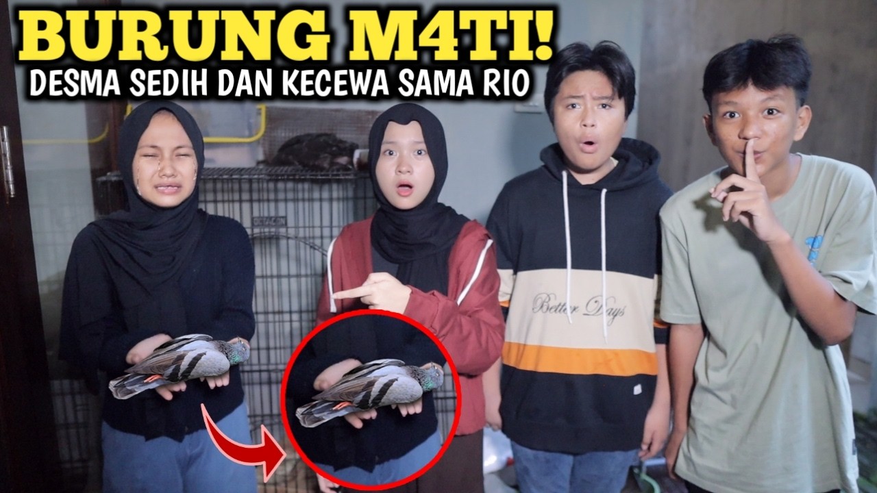 SEDIH BURUNG MERPATI DESM4 M4TI KARENA RIO