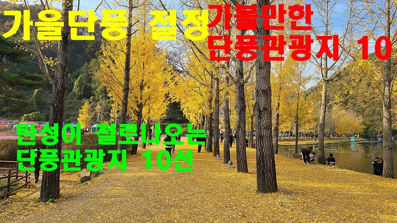 탄성이 절로나오는 가볼만한 가을 단풍산책길 10선