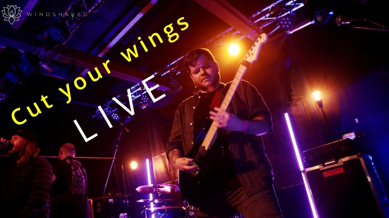 Windshaped - Cut Your Wings ( Live Video)