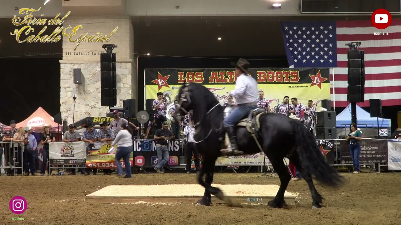 Feria del caballo Español  sept 12 2025 