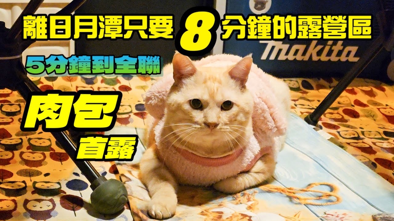 車泊 Vanlife 🚗｜肉包的首露🥰｜終於換充氣帳了｜久違的露營｜空若水 車床天地特約 #campingcar #vanlife #camping