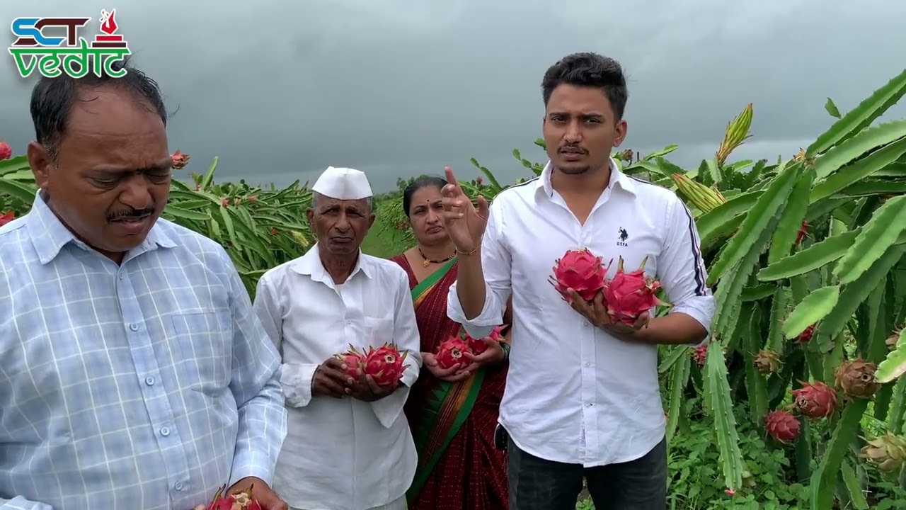 SCTवैदिक ड्रॅगन 1.5 एकरात 30 टन 💪केमिकल आढळलं तर सगळा माल फ्री👆1 महिना टीकवण क्षमतेची गॅरंटी