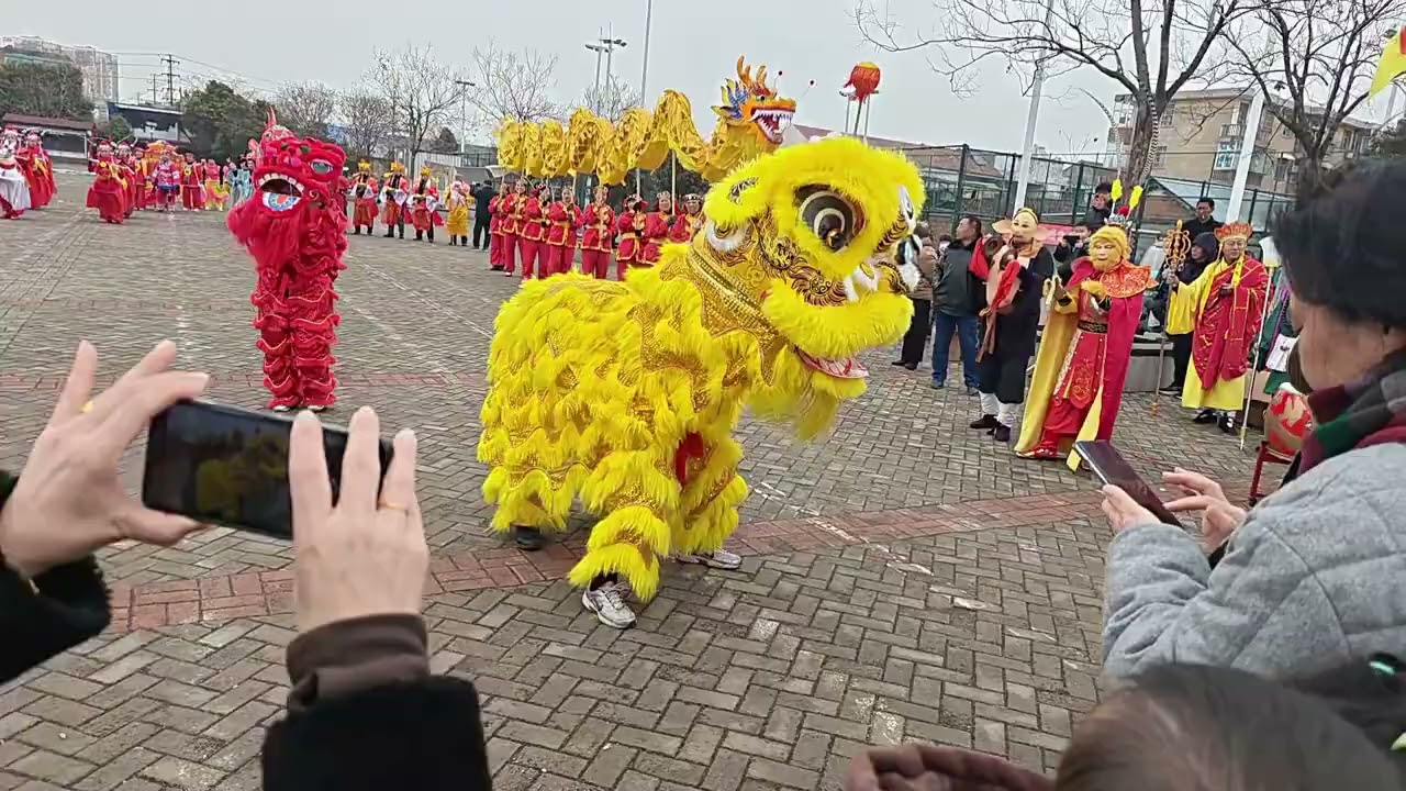 瑞龙献福，醒狮闹街！街头舞龙舞狮大场面实拍｜Auspicious Dragon & Lion Dance on Street, Blessings Galore #非物质文化遗产 #非遗文化传承#舞狮