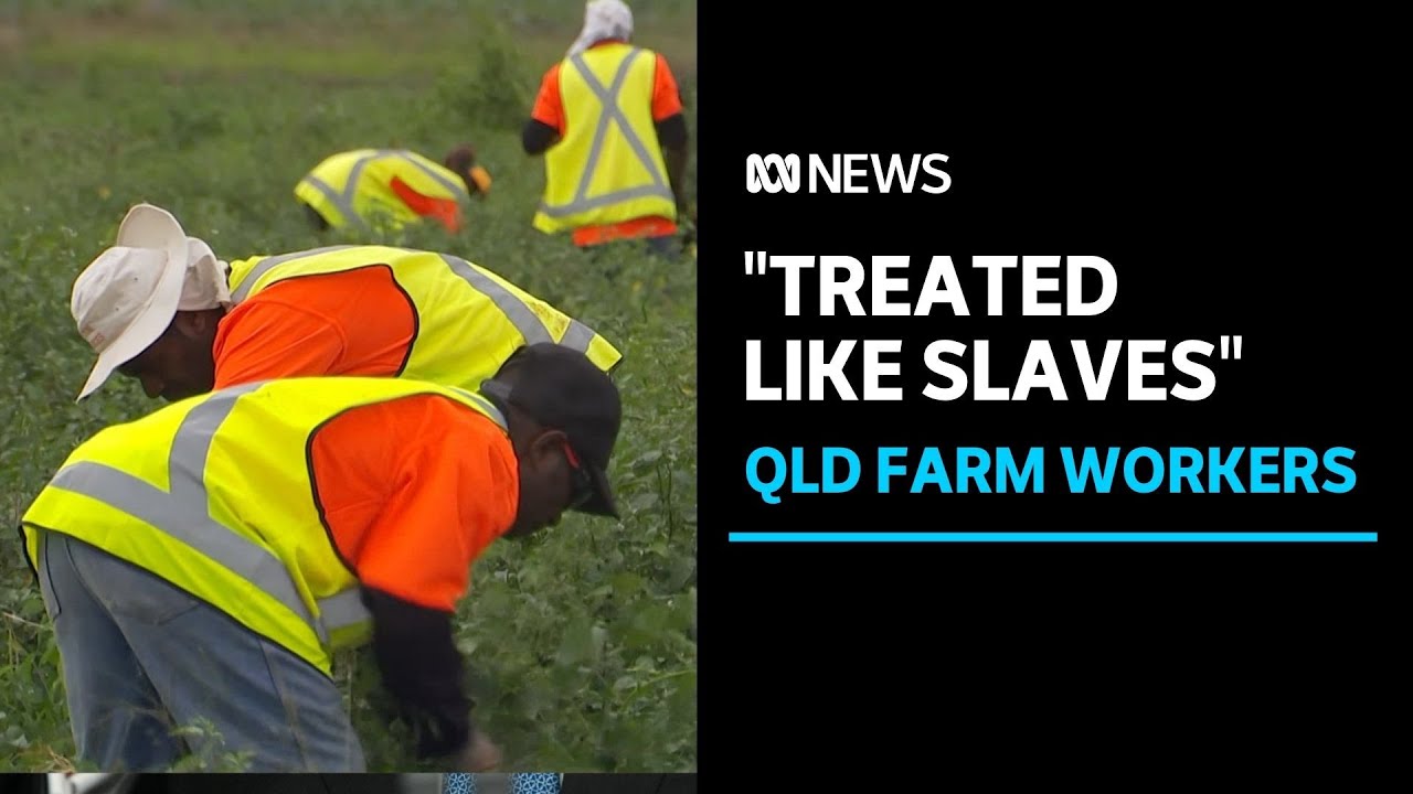 Australia's Pacific and seasonal worker schemes likened to modern slavery | ABC News