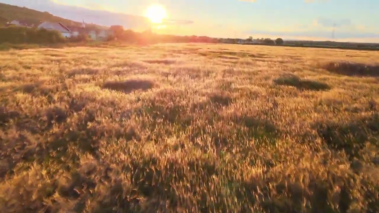 dji air2 mystery shot #drone #djiair2 #dronevideo