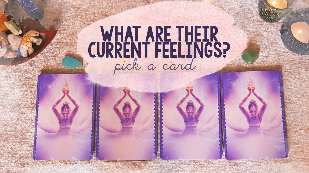 🤔 What Are Their Current Feelings? ❤️| PICK A CARD