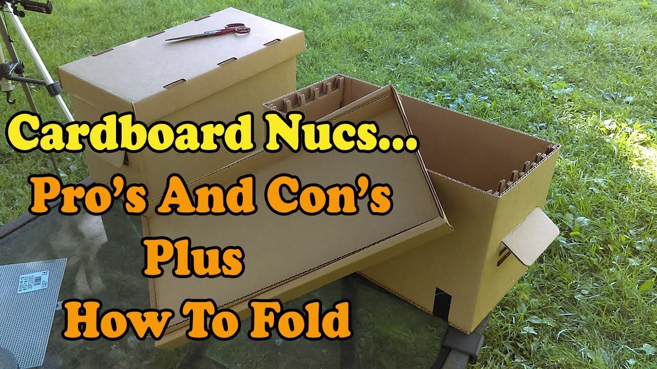 Cardboard Nucs...Pro's And Con's, How To Fold