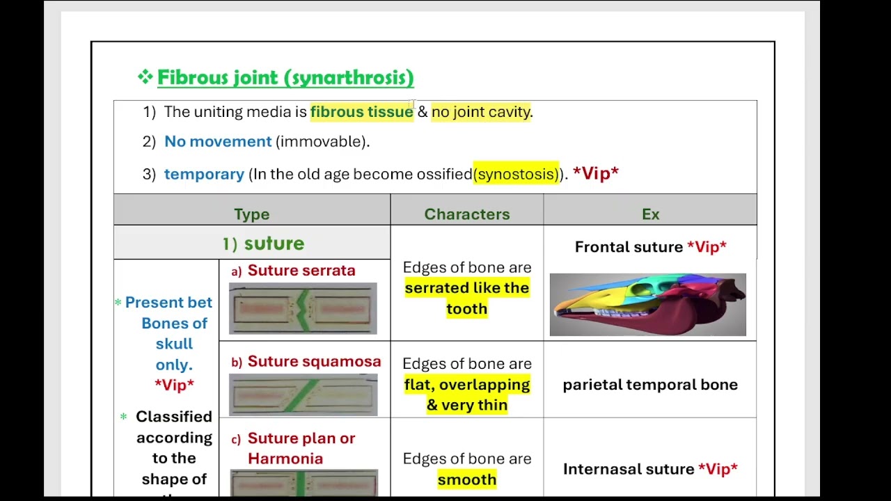 المحاضرة الثانية لاولى طب بيطرى المفاصل  Arthrology شرح مبسط