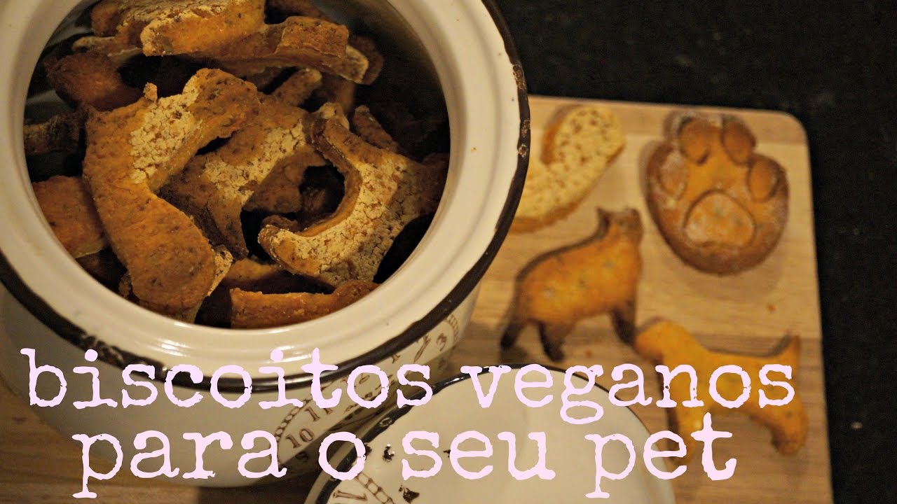 Biscoitos veganos para cachorro | Pra todo dia | Laboratório dos sentidos