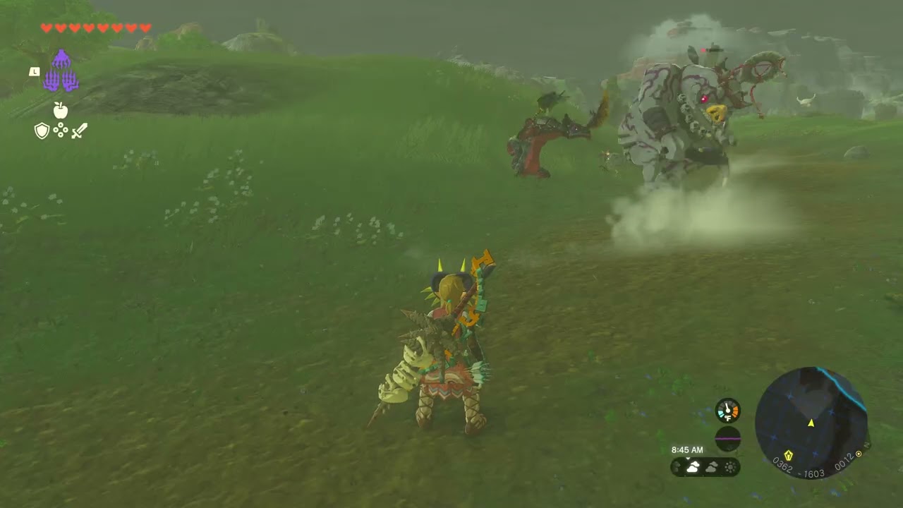 5 black lizalfos vs boss boko