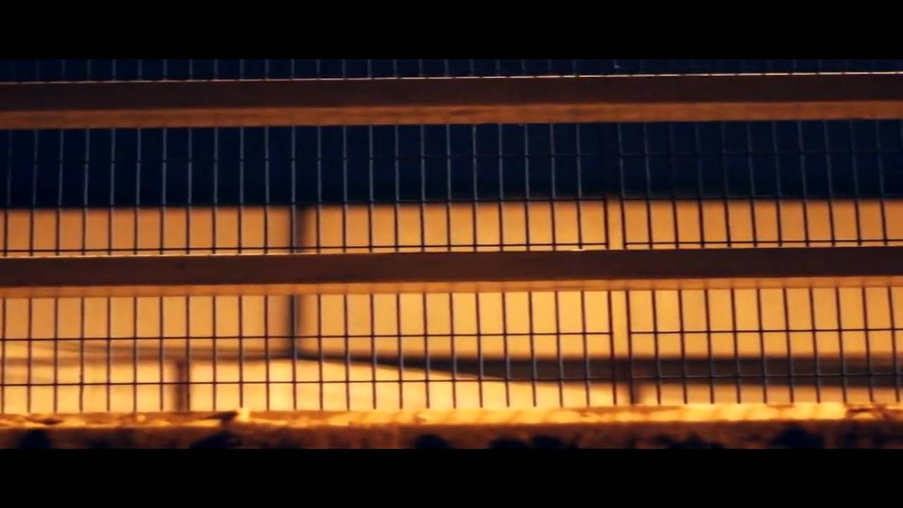 Onno - Oblique