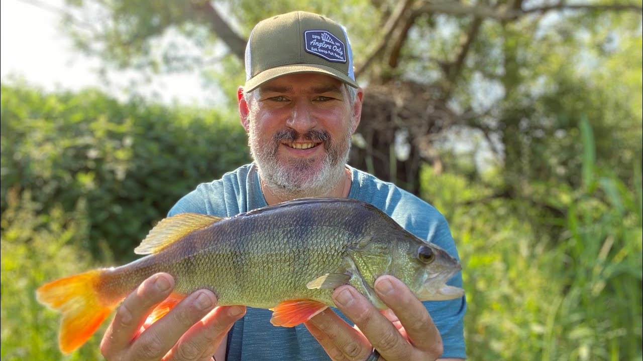 Spinning for perch