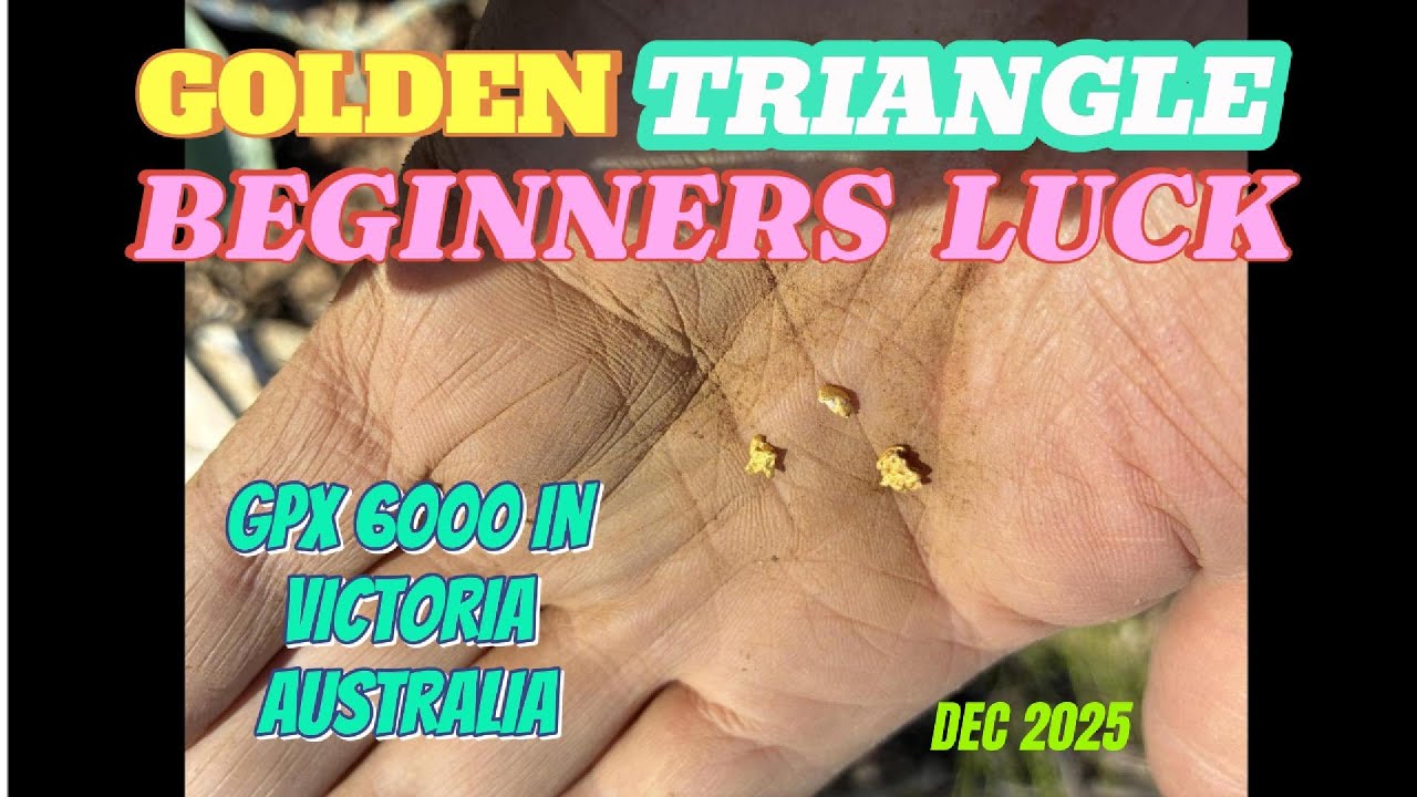 Gold Detecting Near Clunes. GOLDEN TRIANGLE NUGGETS. Beginners Luck. #golddetecting  #treasuresearch