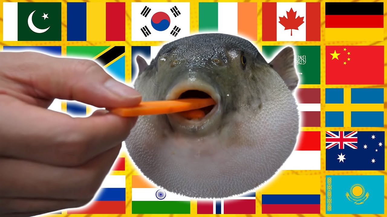 ÆÜGH in different languages meme