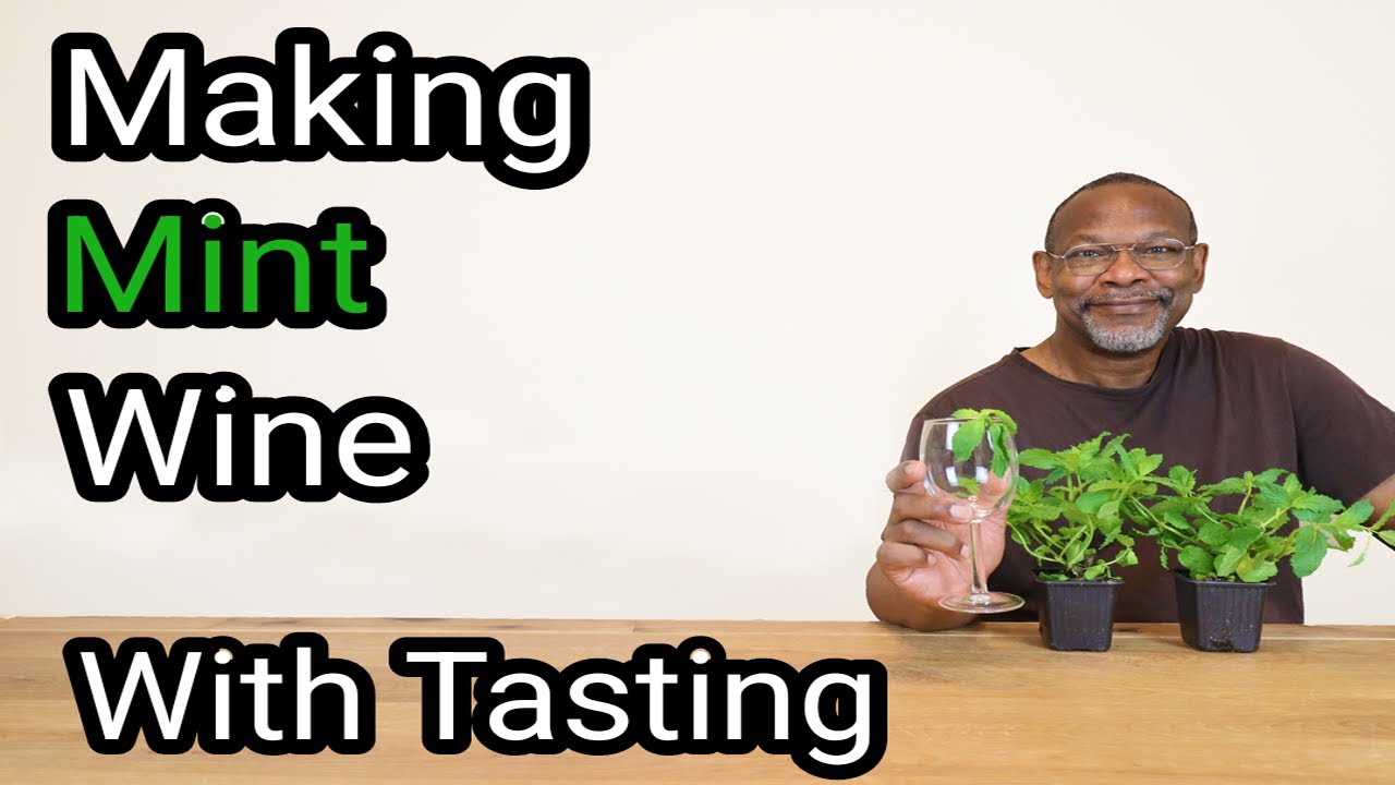 Making Mint Wine 10.7% ABV