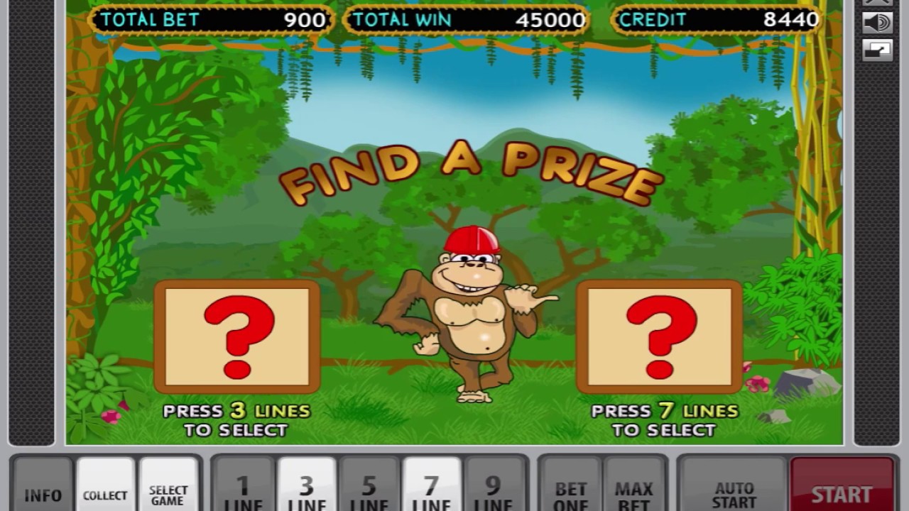 Biggest Win On The Crazy Monkey Slot Machine - Bonus Game