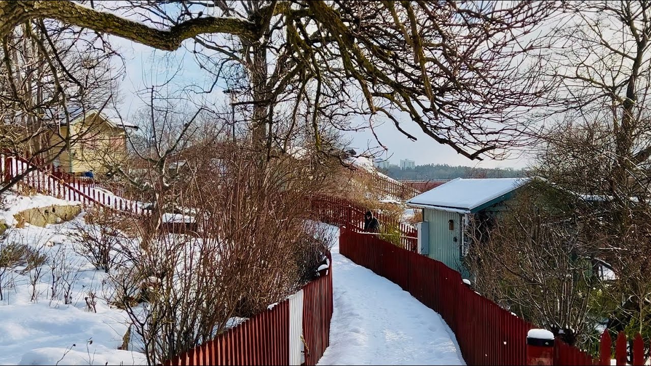 Walking in a winter wonderland. Snowy Stockholm gardens of Tanto. 
