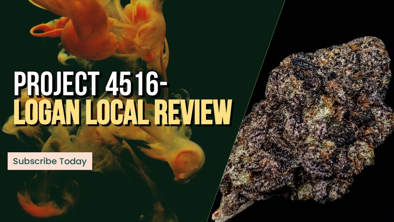 Project 4516: Logan Local Strain Feature