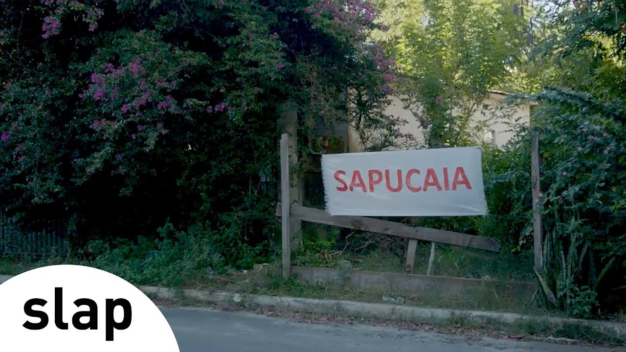 Silva - Sapucaia (Álbum Brasileiro)