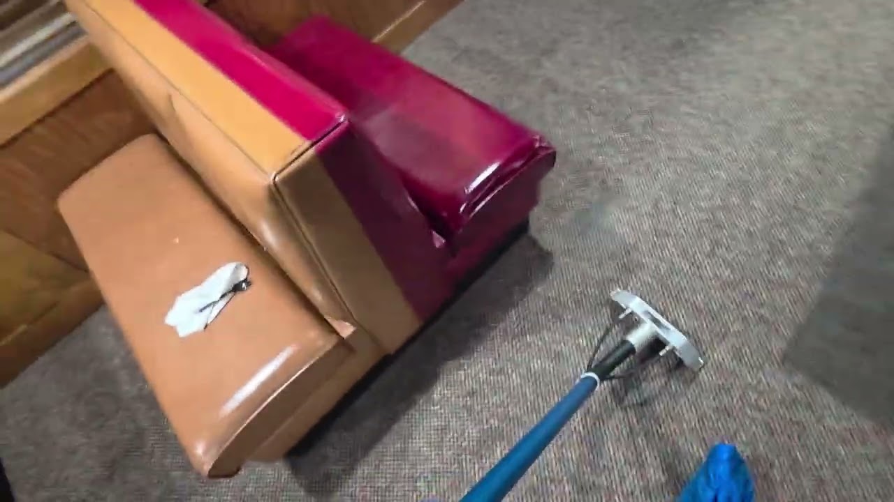 Dirty carpet 1
