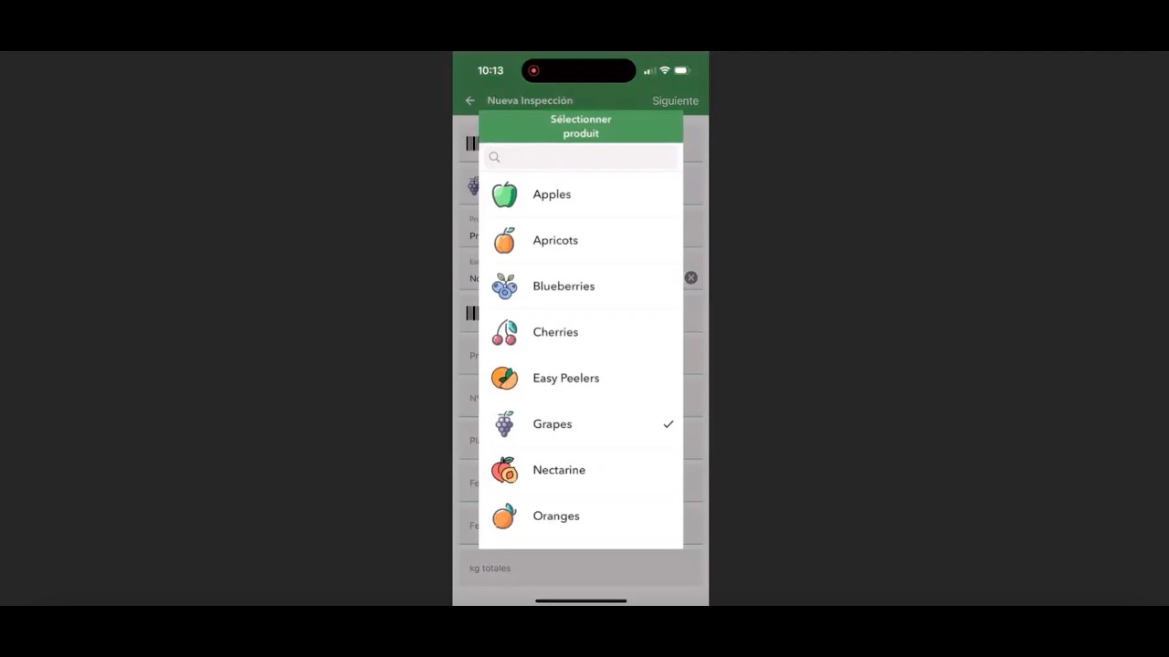[Spanish] Demo: Exploring Clarifruit's Cutting-Edge Product